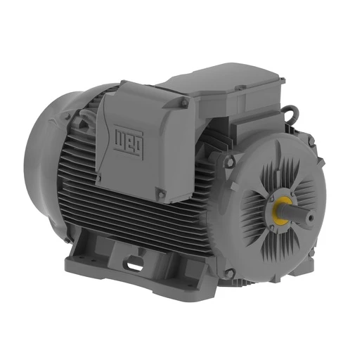 W22Xtb N-2919